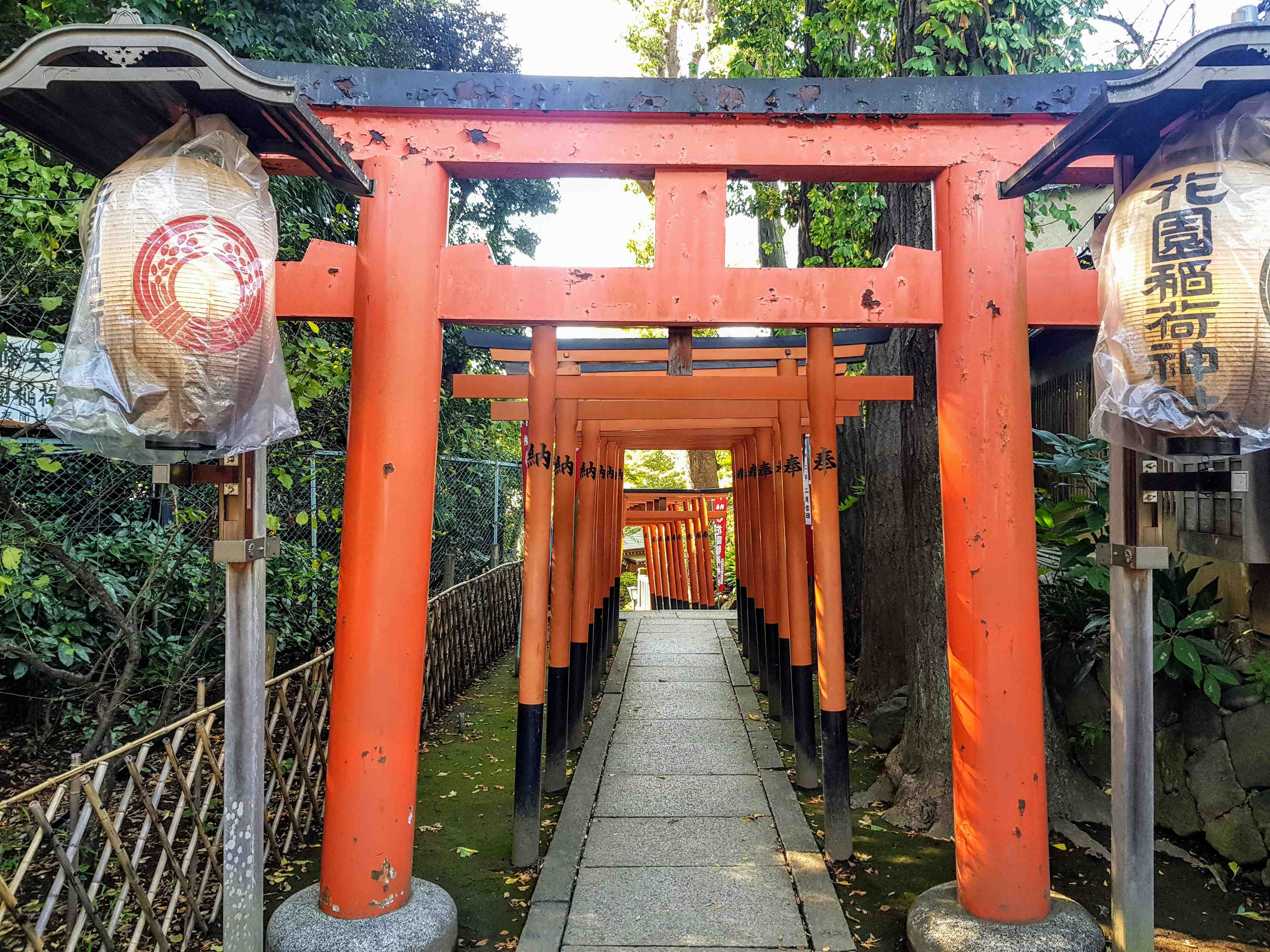 ⛩️ 고조텐 신사・하나조노 이나리 신사 (고조텐진자・하나조노이나리진자) 이미지 11